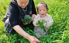 麻豆视传媒官方网站入口进入免费下载